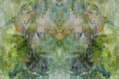 Bild-8